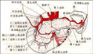 結腸黑變病