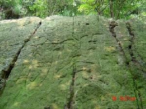 梅子山[湖北武漢境內山峰]