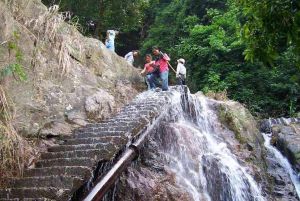 布心山郊野公園