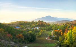 張村[山西臨汾市襄汾縣古城鎮下轄村]