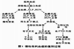 伴腫瘤的高鈣血症