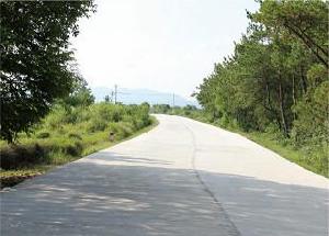 槐樹村[安徽省安慶市潛山市黃鋪鎮下轄村]