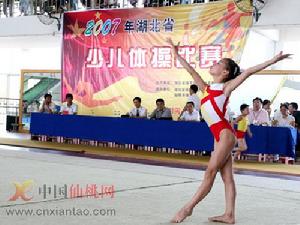 2007年湖北省少兒體操比賽的謝雨薇