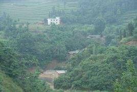 朝陽溝村[雲南省昆明市盤龍區松華鄉大擺村朝陽溝村]