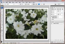 Adobe Photoshop CS3