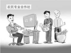 農民專業合作社