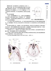 插圖2