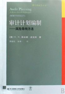 審計計畫編制風險導向方法