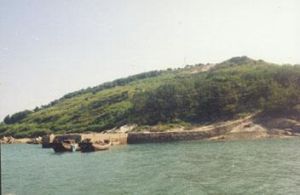 小管島