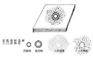 司法彈道檢驗