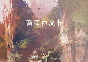 高四白皮書