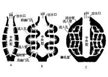 水溝系分類