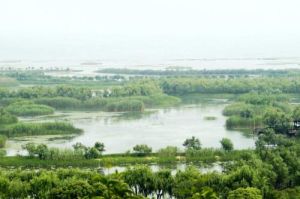 太湖三山島濕地公園