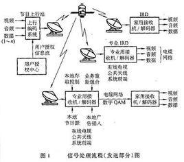 數字視頻廣播