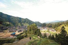 梧村村[浙江省衢州市龍游縣沐塵鄉下轄村]