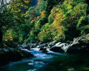 神農架動植物標本館