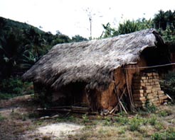 毛岸苗村