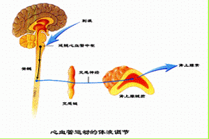 腎上腺素中毒