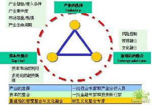 企業兼併戰略