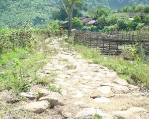 進村道路