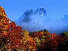 光霧山紅葉