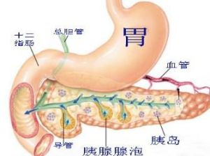 胰腺內分泌腫瘤