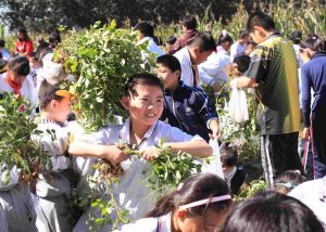 民族團結國小