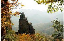 大黑山國家森林公園