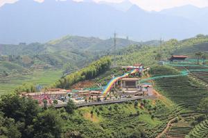 大田村[雲南省玉溪新平縣戛灑鎮大田村]