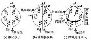 核磁共振陀螺原理