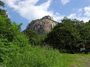 蓮花山森林公園