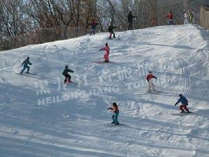 龍珠二龍山滑雪場