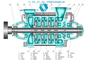 D型臥式多級泵結構圖