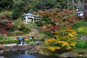 圓覺寺[日本鎌倉市圓覺寺]