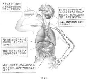 短腸綜合症