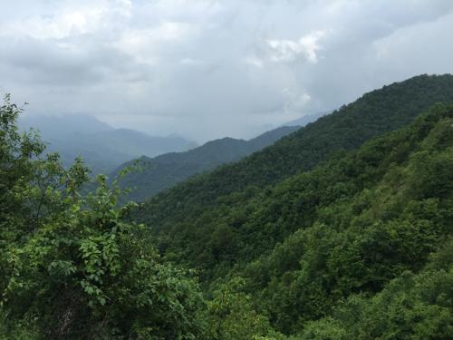 鎮坪黃連產地環境