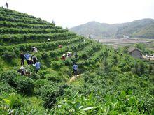 馬龍鄉[湖南通道縣轄鄉馬龍鄉]