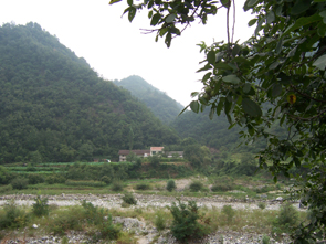 上壩河國家森林公園