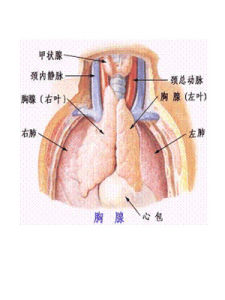 重症肌無力