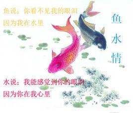 魚水情