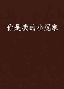 你是我的小冤家