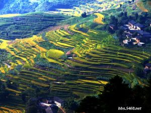 金佛山風景名勝區