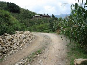 進村道路