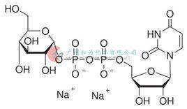 二磷酸尿苷葡糖