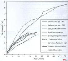 國外論文：帝鱷體長隨年齡變化圖