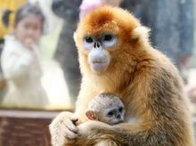 濟南動物園圖集