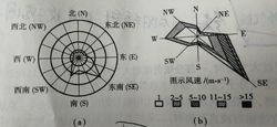 圖1  風玫瑰圖