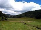 前進村[黑龍江齊齊哈爾市碾子山區前進村]