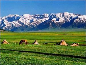 新疆的雪山