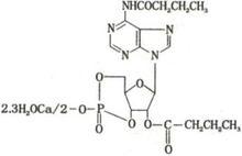 注射用二丁醯環磷腺苷鈣
